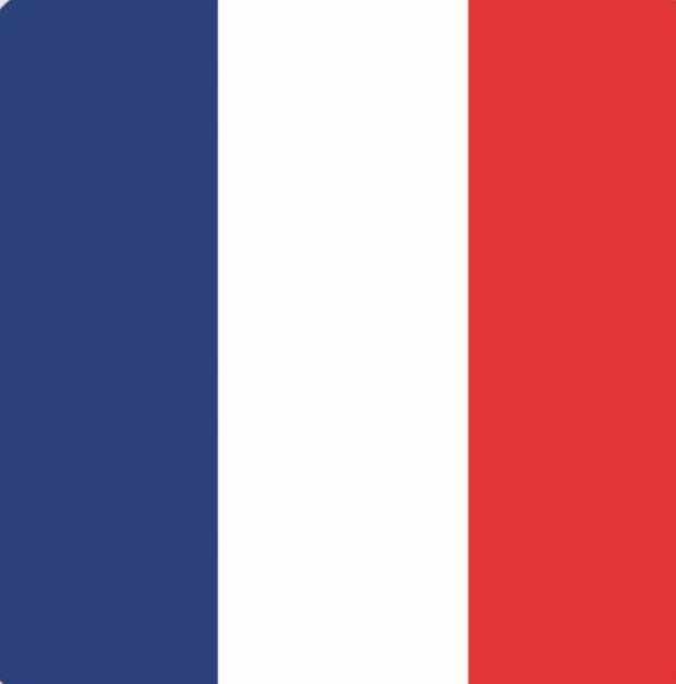  French flag